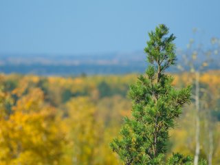 перспектива