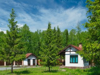 помощь с обустройством участка