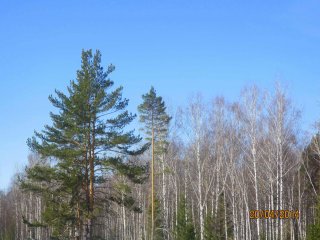 весеннее небо