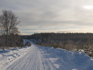 дорога к Родному